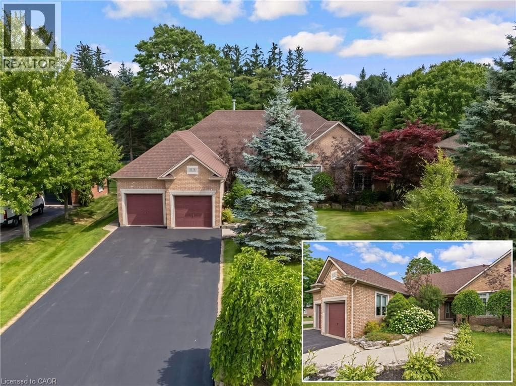 3 APPALOOSA Trail