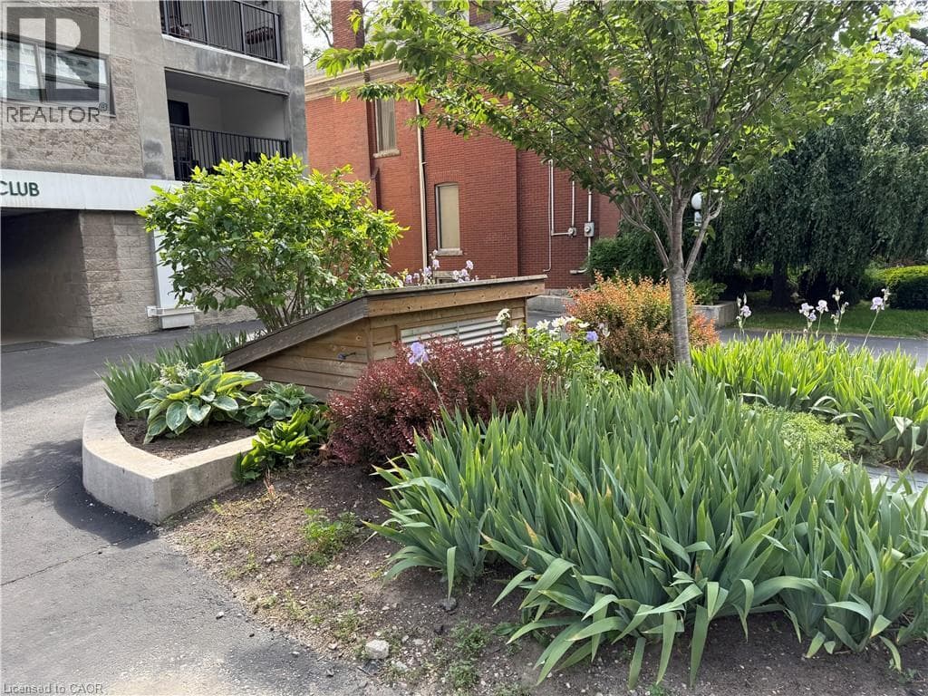 87 DUKE Street Unit 204