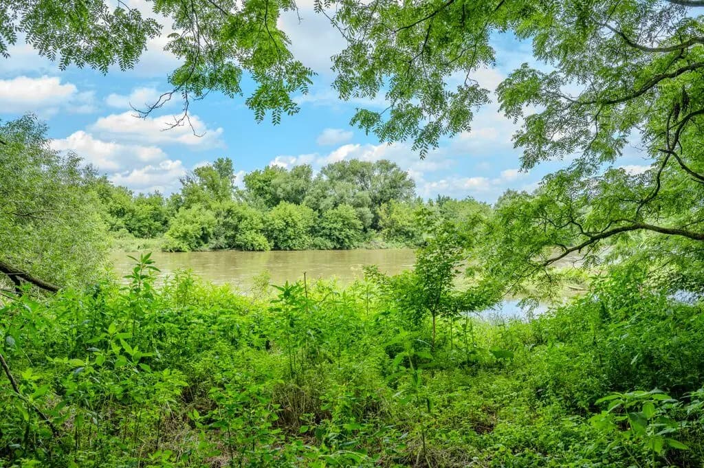 Scenic Grand River view in Kitchener-Waterloo