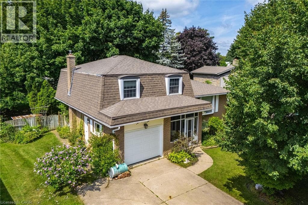 22 GREEN WARBLER Crescent